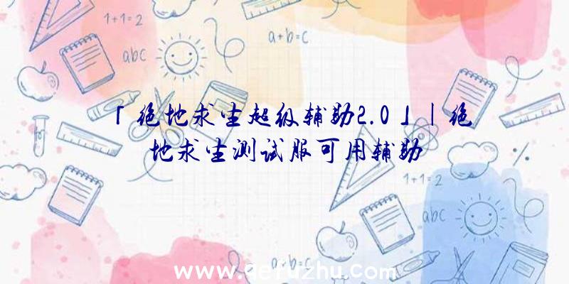 「绝地求生超级辅助2.0」|绝地求生测试服可用辅助